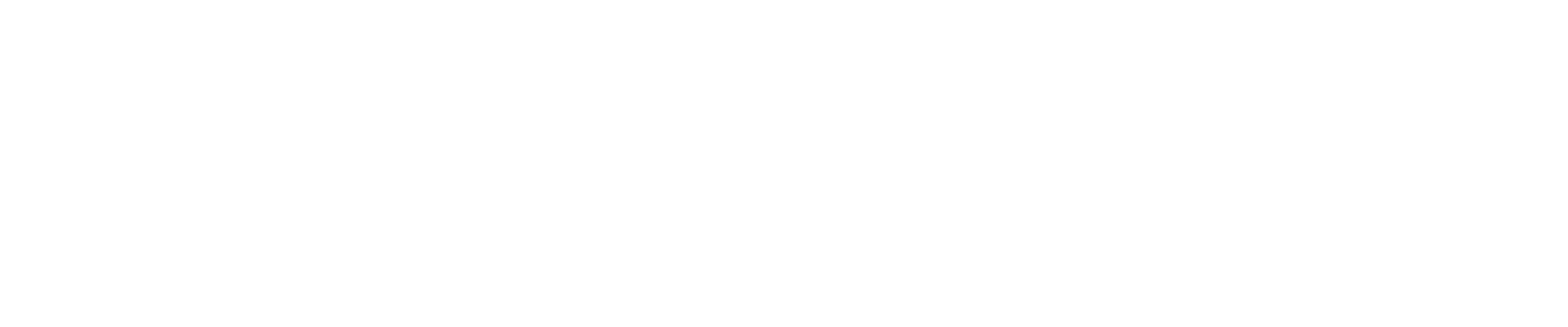 Logo partnera